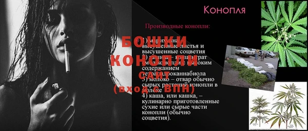 бошки Абаза