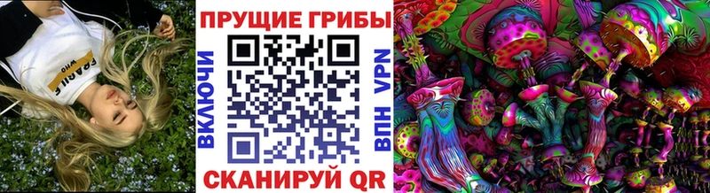 где купить   Ртищево  Галлюциногенные грибы GOLDEN TEACHER 